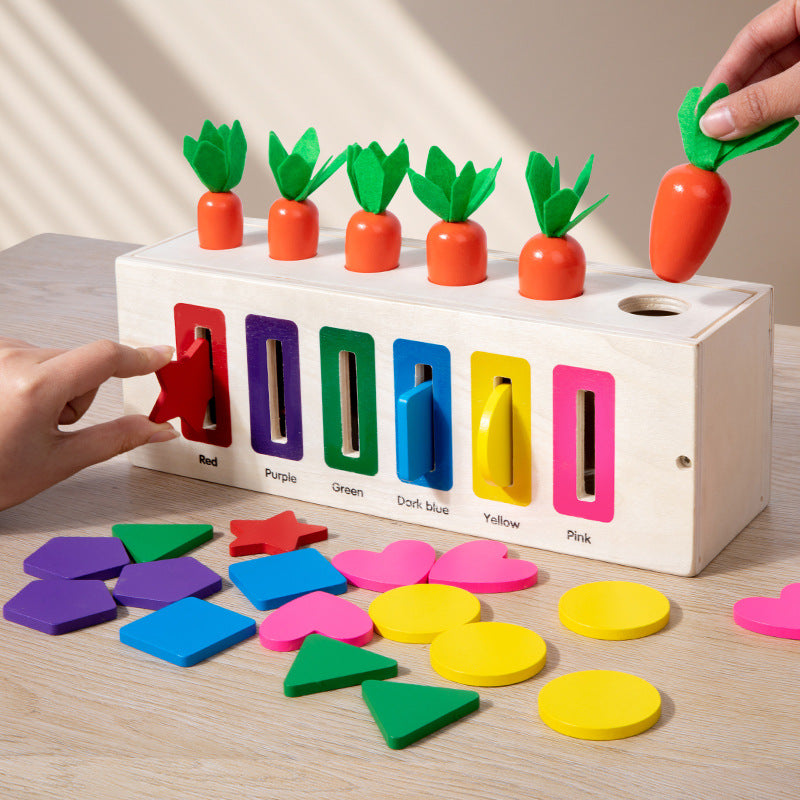 3-in-1 Montessori- Inspired Color Shape Recognition Toy