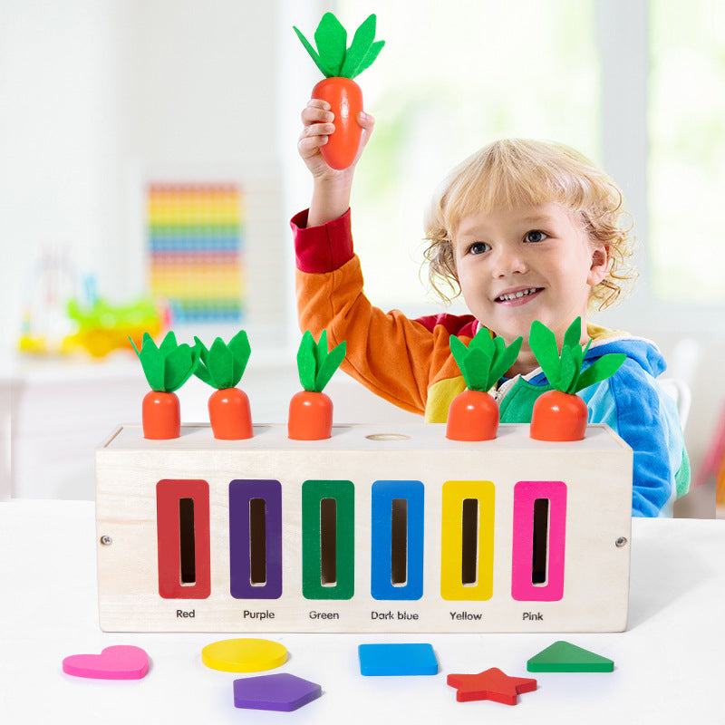 3-in-1 Montessori- Inspired Color Shape Recognition Toy