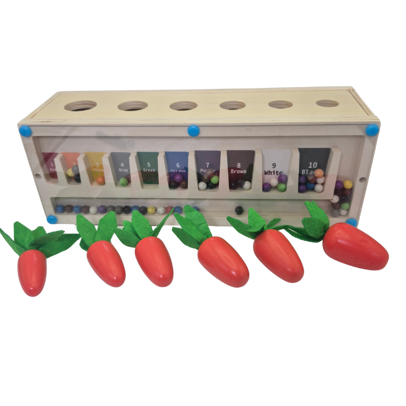 3-in-1 Montessori- Inspired Color Shape Recognition Toy: Engage, Learn, and Play!