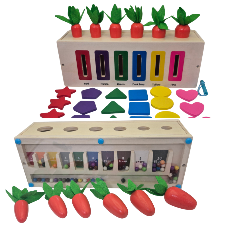 3-in-1 Montessori- Inspired Color Shape Recognition Toy