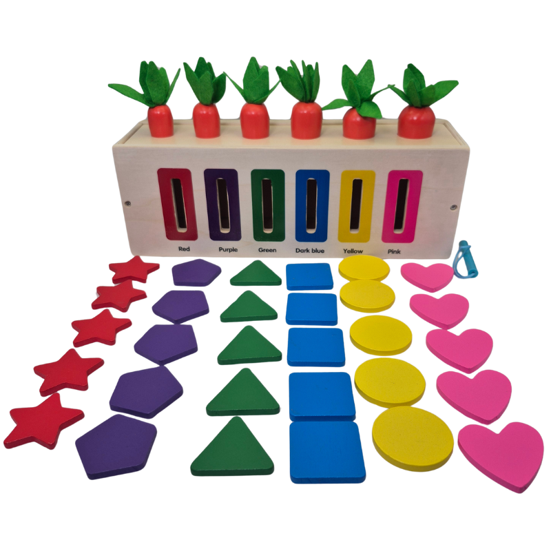 3-in-1 Montessori- Inspired Color Shape Recognition Toy