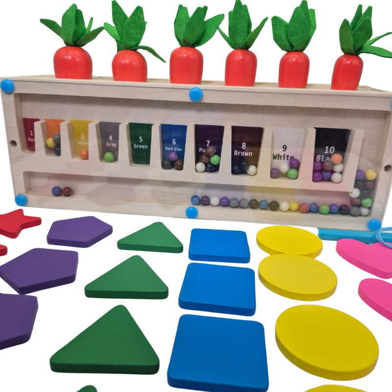 3-in-1 Montessori- Inspired Color Shape Recognition Toy