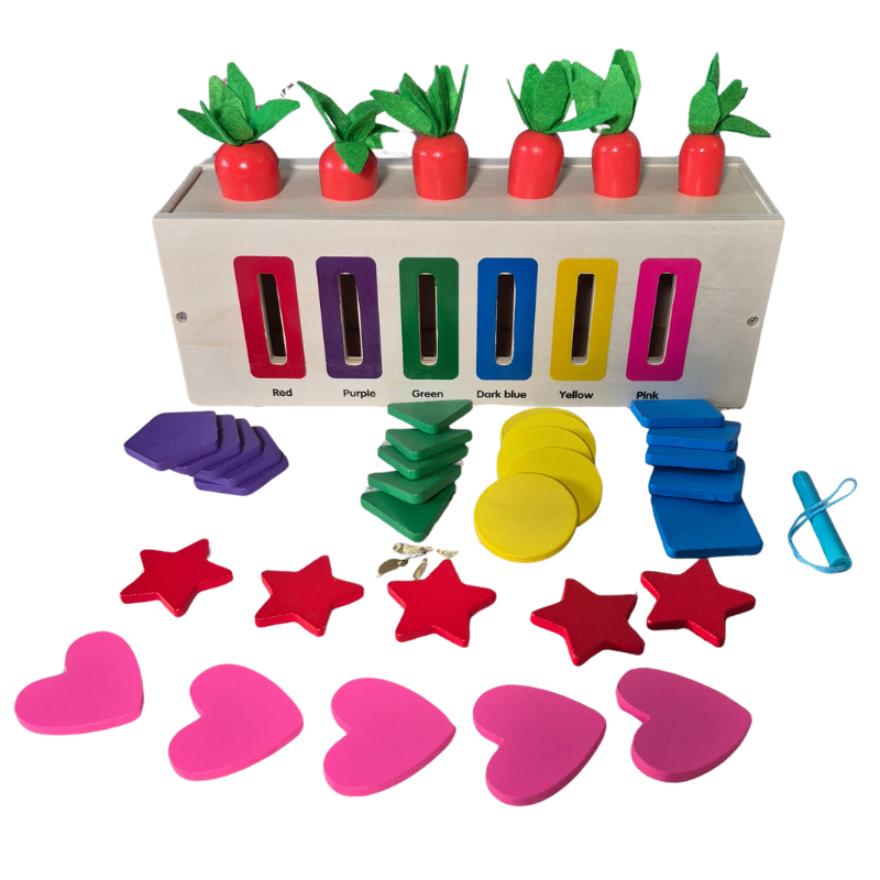 3-in-1 Montessori- Inspired Color Shape Recognition Toy