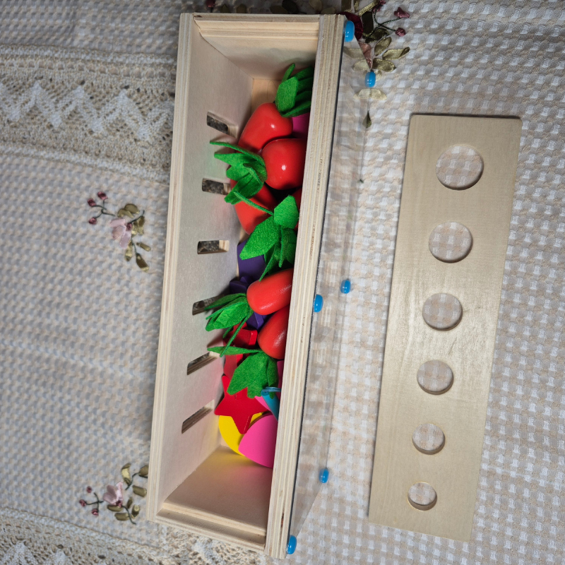 3-in-1 Montessori- Inspired Color Shape Recognition Toy
