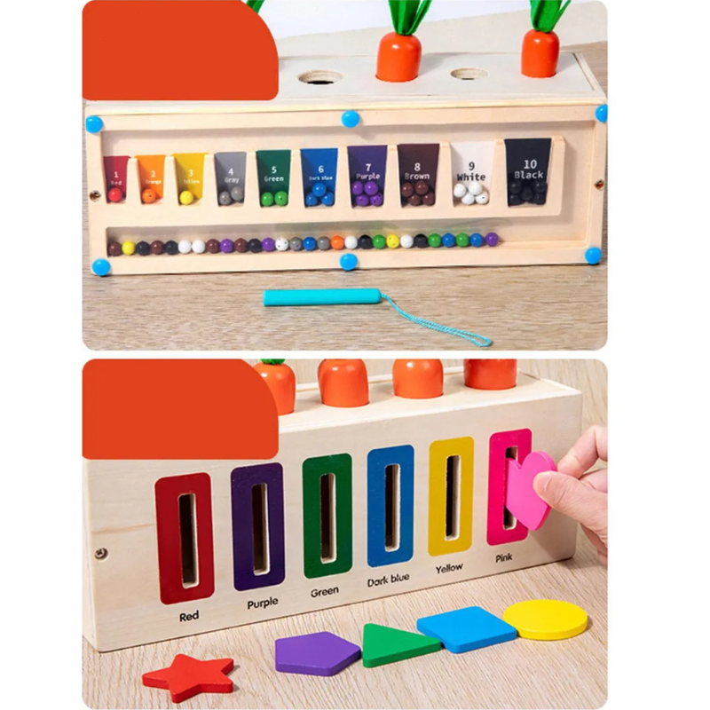 3-in-1 Montessori- Inspired Color Shape Recognition Toy: Engage, Learn, and Play!