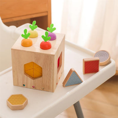 Interactive Wooden Sensory Cube