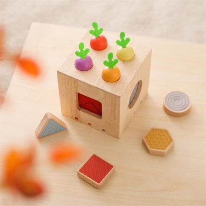 Interactive Wooden Sensory Cube