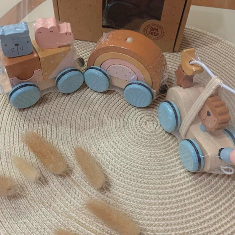 Wooden Animal Train Toy