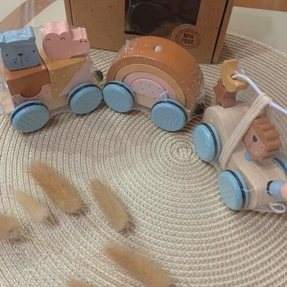 Wooden Animal Train Toy