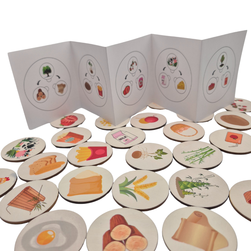 Children Wooden Decomposition Game | Learn About Animals and Plants