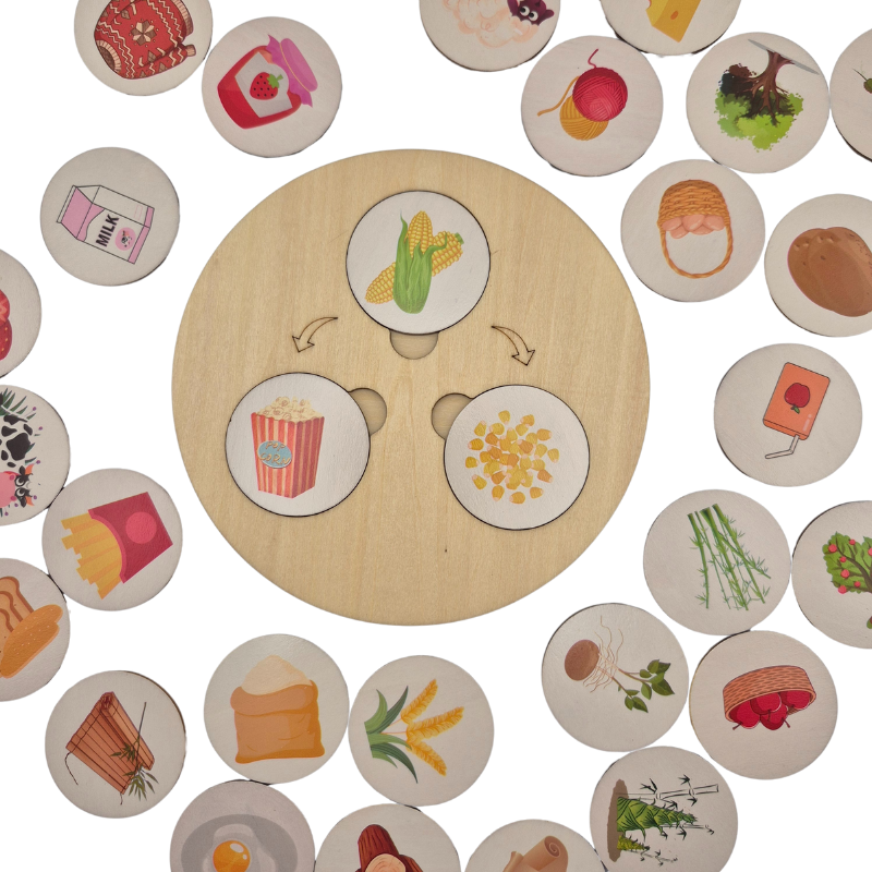 Children Wooden Decomposition Game | Learn About Animals and Plants
