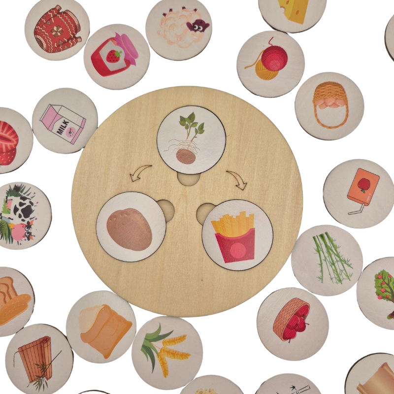 Children Wooden Decomposition Game | Learn About Animals and Plants