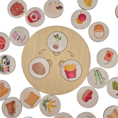 Children Wooden Decomposition Game | Learn About Animals and Plants