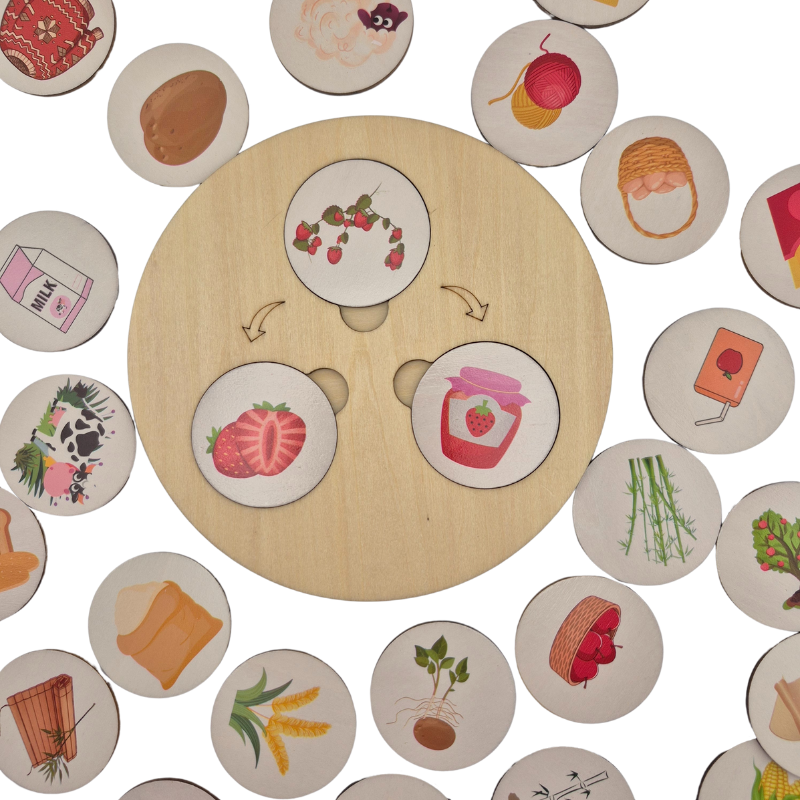 Children Wooden Decomposition Game | Learn About Animals and Plants