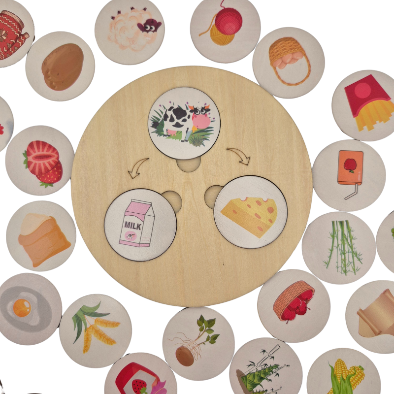Children Wooden Decomposition Game | Learn About Animals and Plants