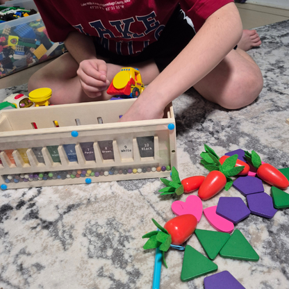 3-in-1 Montessori- Inspired Color Shape Recognition Toy