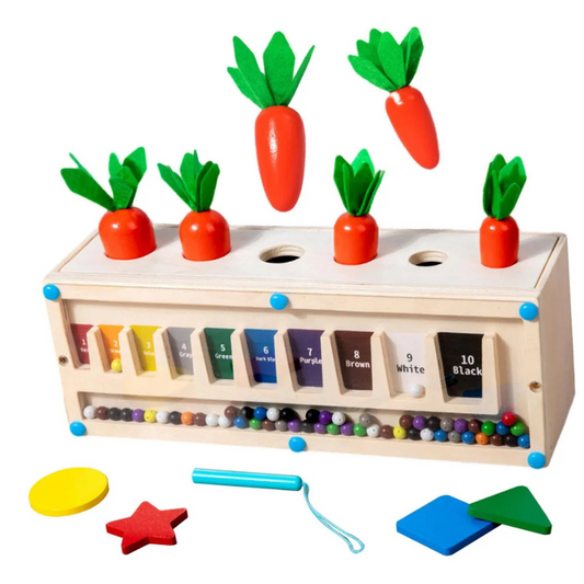 3-in-1 Montessori- Inspired Color Shape Recognition Toy: Engage, Learn, and Play!