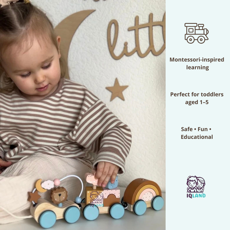 Wooden Animal Train Toy