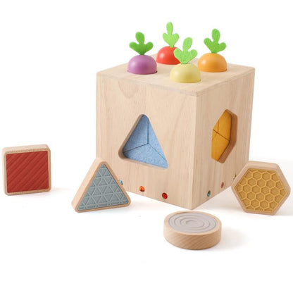 Interactive Wooden Sensory Cube