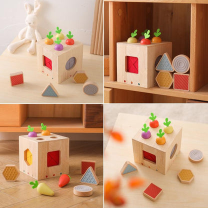 Interactive Wooden Sensory Cube