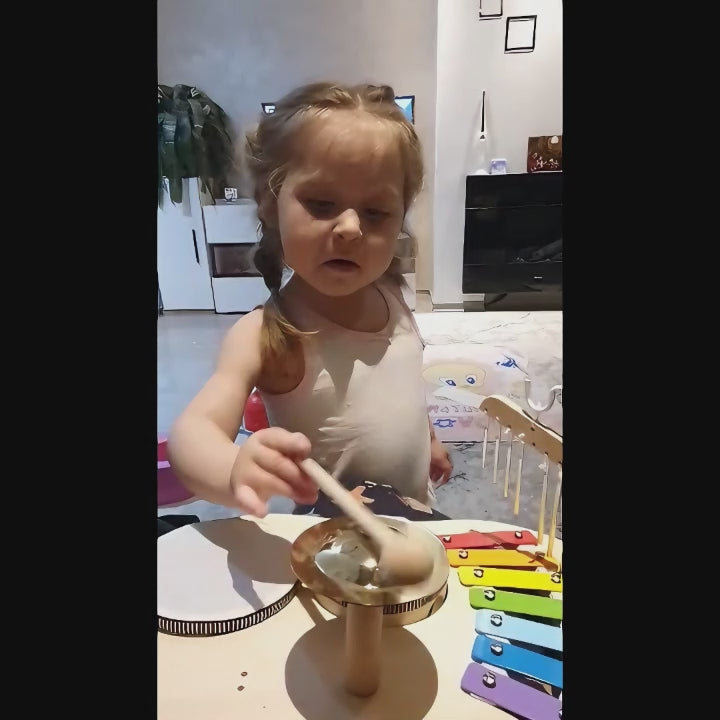 Multifunctional Montessori-Inspired Musical Station